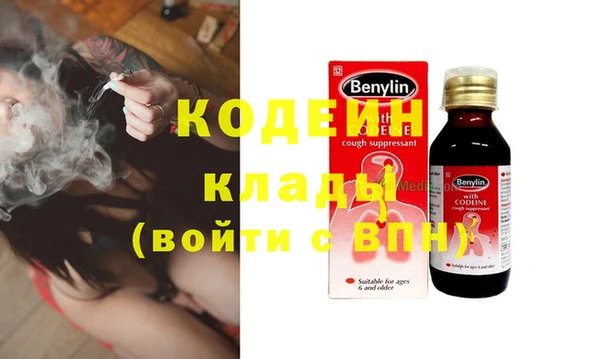 шишки Алексин