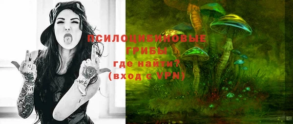 шишки Алексин