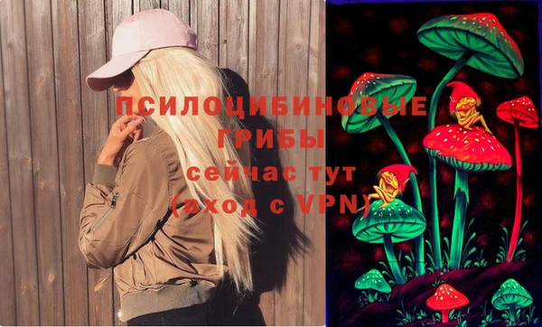 Альфа ПВП Абаза